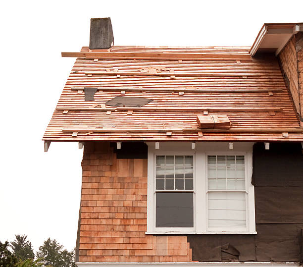 Best Steel Siding Installation  in Taos Pueblo, NM