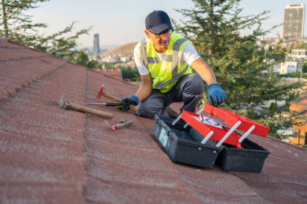 Best Insulated Siding Installation  in Taos Pueblo, NM